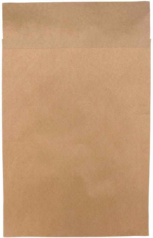 ポストイン定形外封筒 未晒100 （250×335×30）