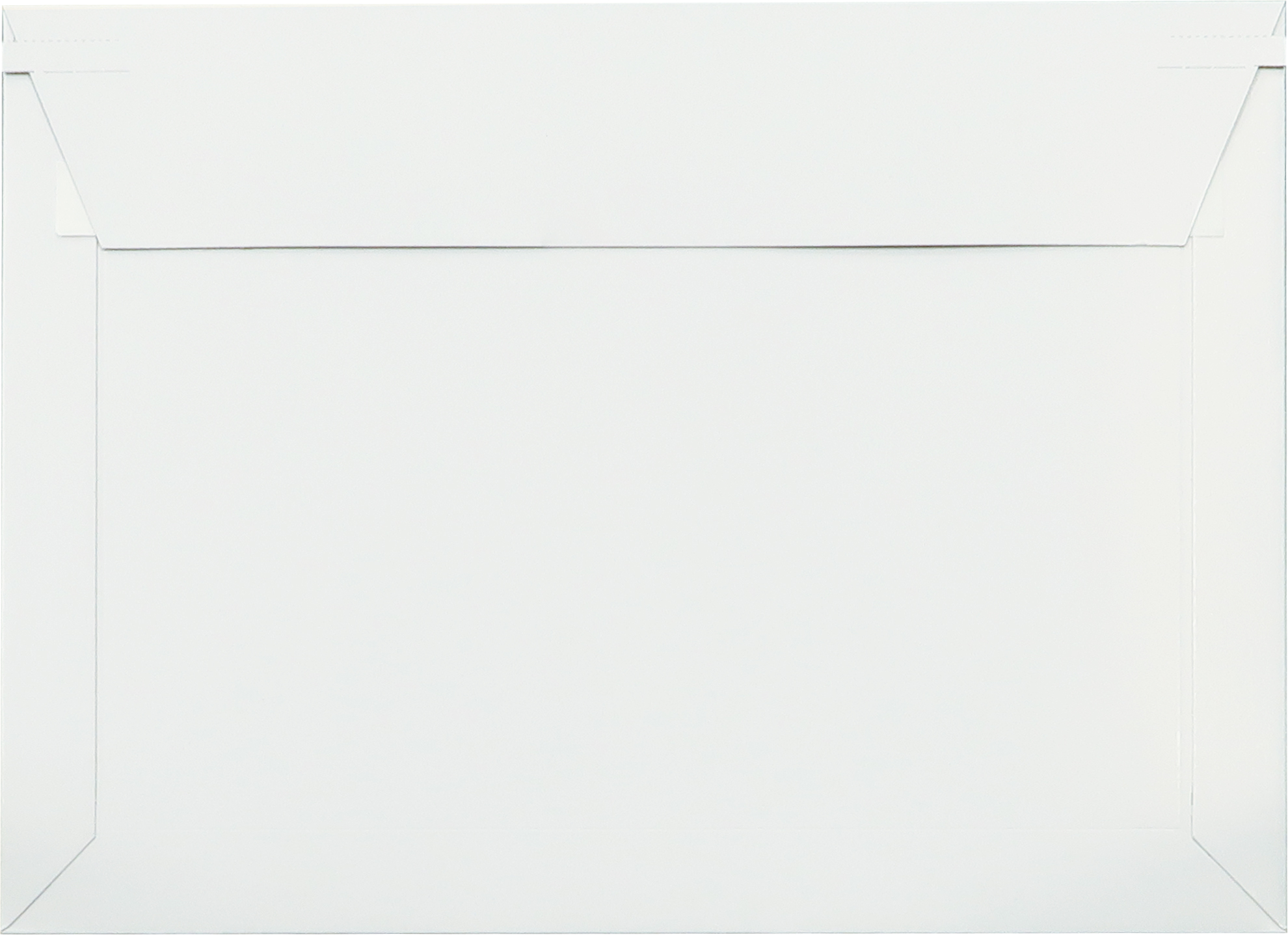 ビジネスバッグ 角2 100枚入 (330×240)